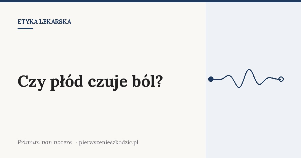 Czy płód czuje ból?